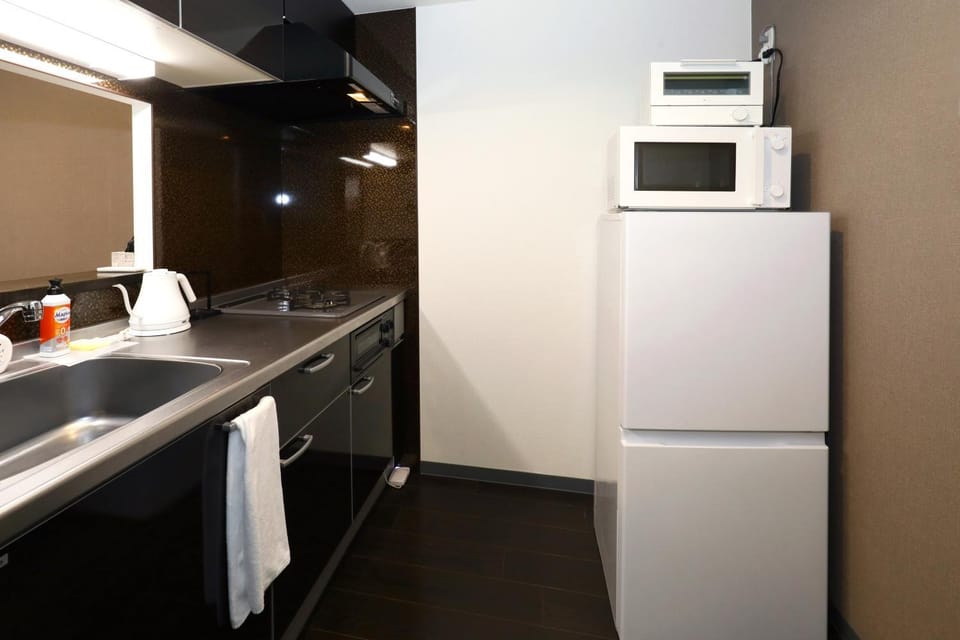 Omote301 Apartment in Sapporo