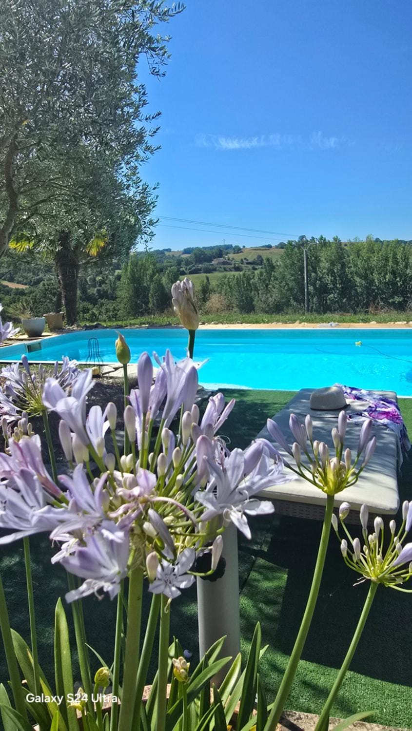 Swimming pool, Swimming pool