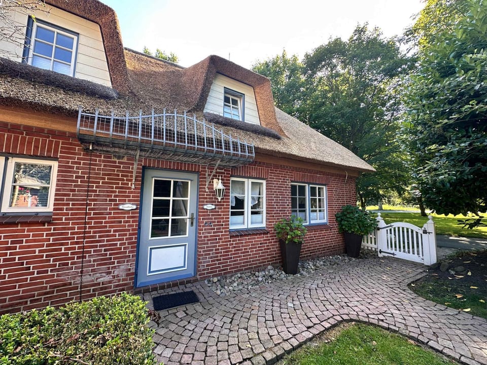 Property building, Spring, Day, Garden, Garden view