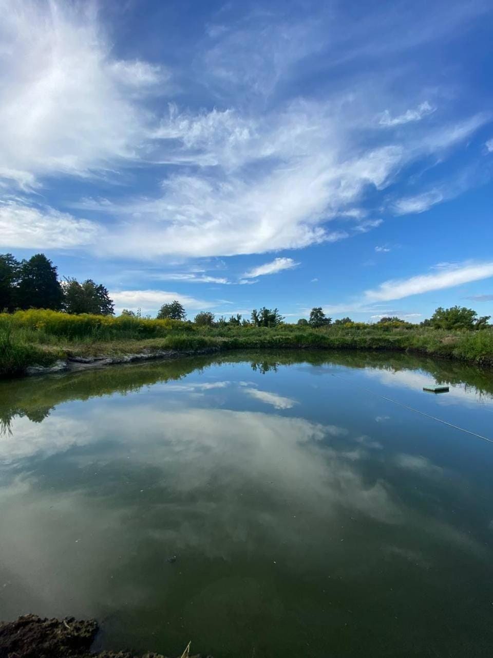 Lake view