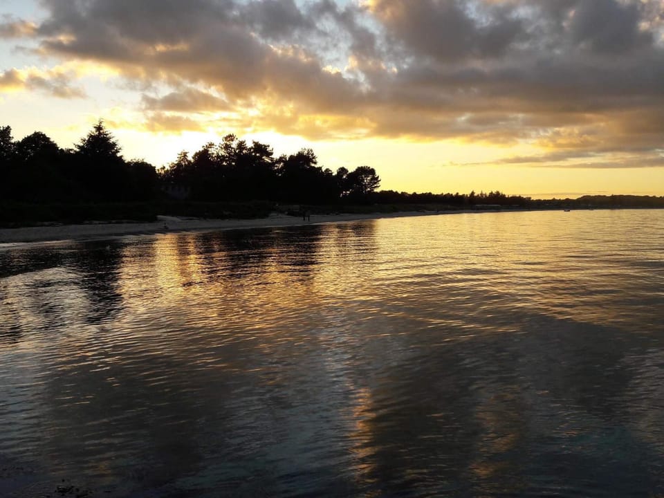 Lake view