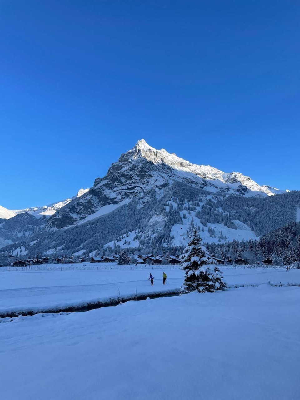 Cute chalet in Kandersteg Apartment in Canton of Valais
