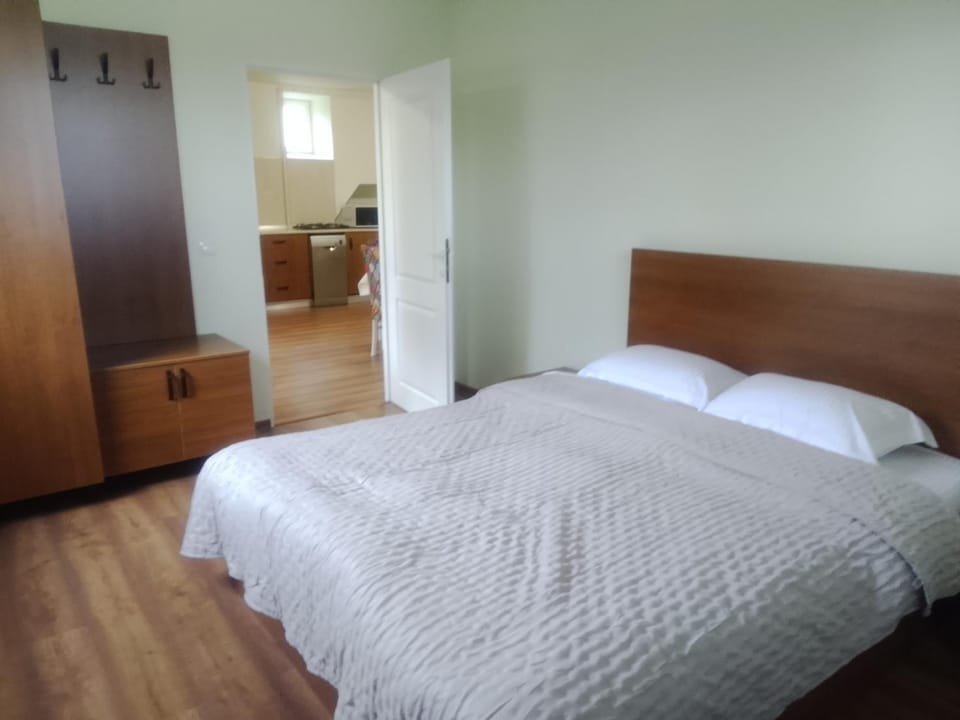 Casa Corvinia Apartment in Serbia