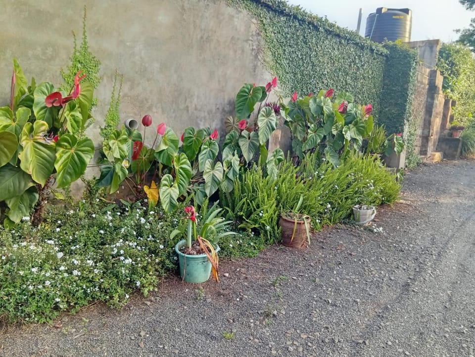 Garden, Garden