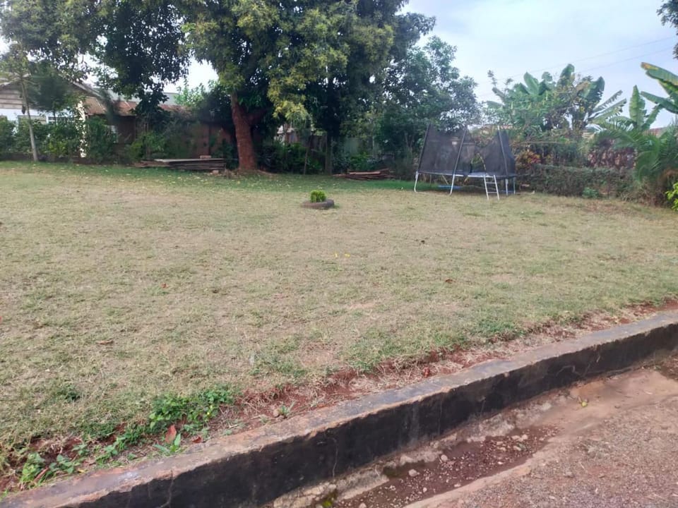 Natural landscape, Children play ground, Garden, Garden view, sunbed