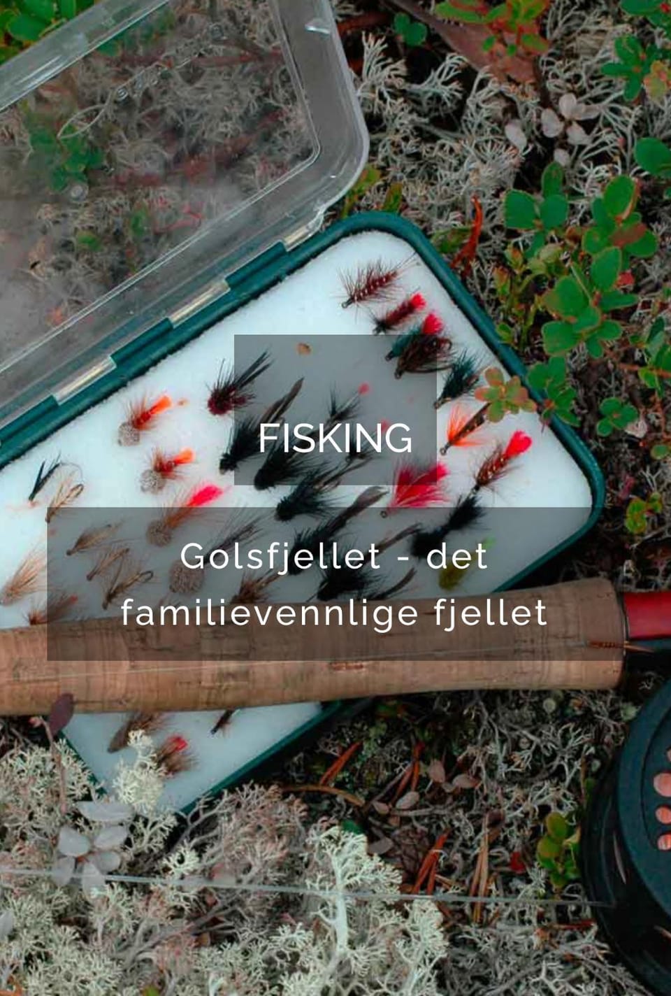 Off site, Fishing