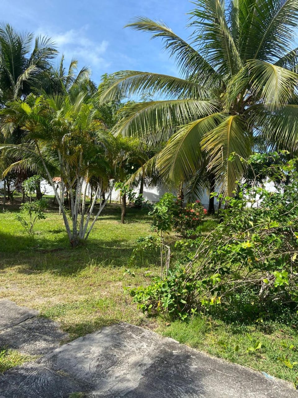 Garden view