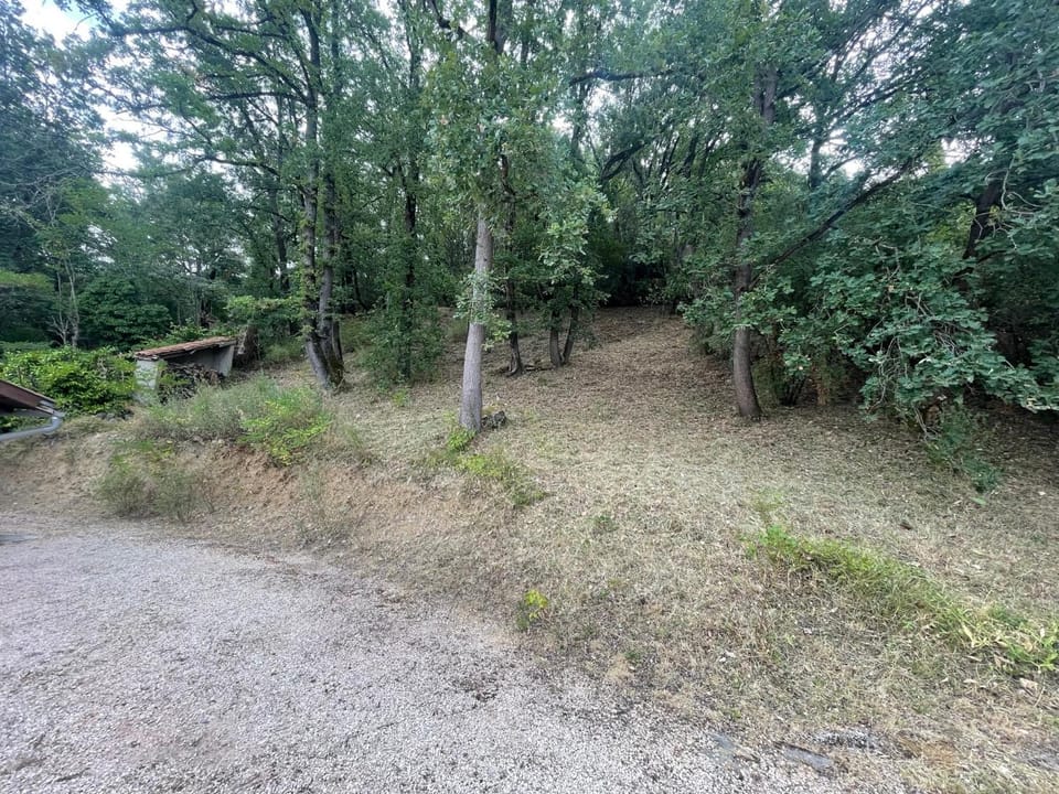 Natural landscape, Garden view