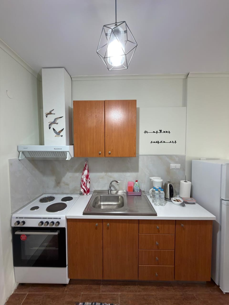 Coffee/tea facilities, Kitchen or kitchenette, oven, stove