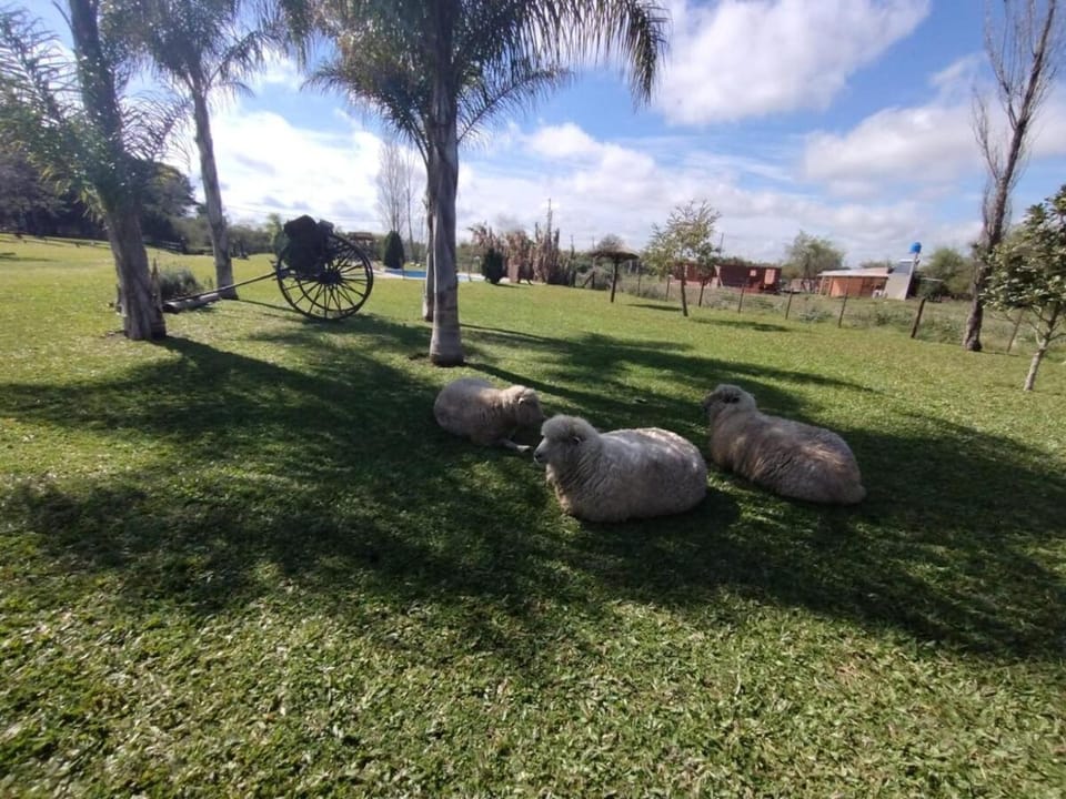 Cabaña Natural, Parrilla Privada Piscina y Altillo Apartment in Colón