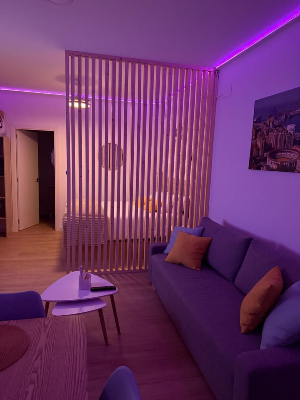Photo of the whole room
