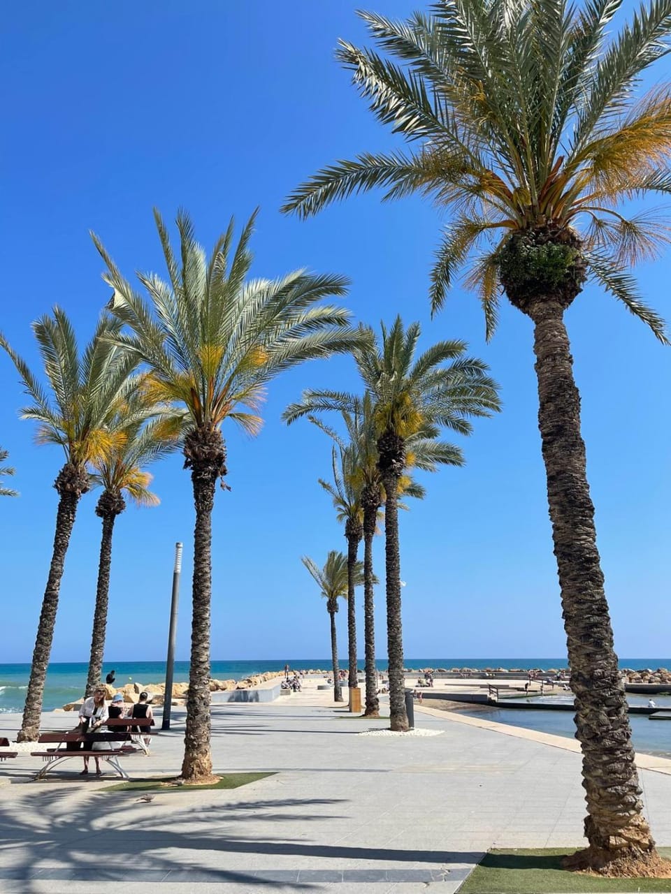 Casa Bonita Apartment in Torrevieja