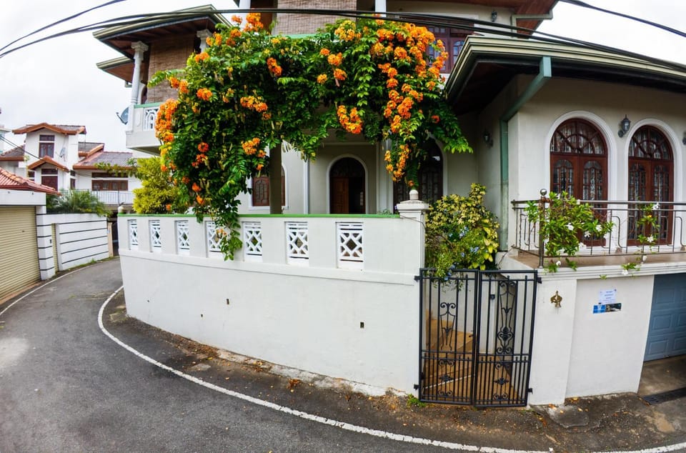 Property building, Day, Neighbourhood, Street view