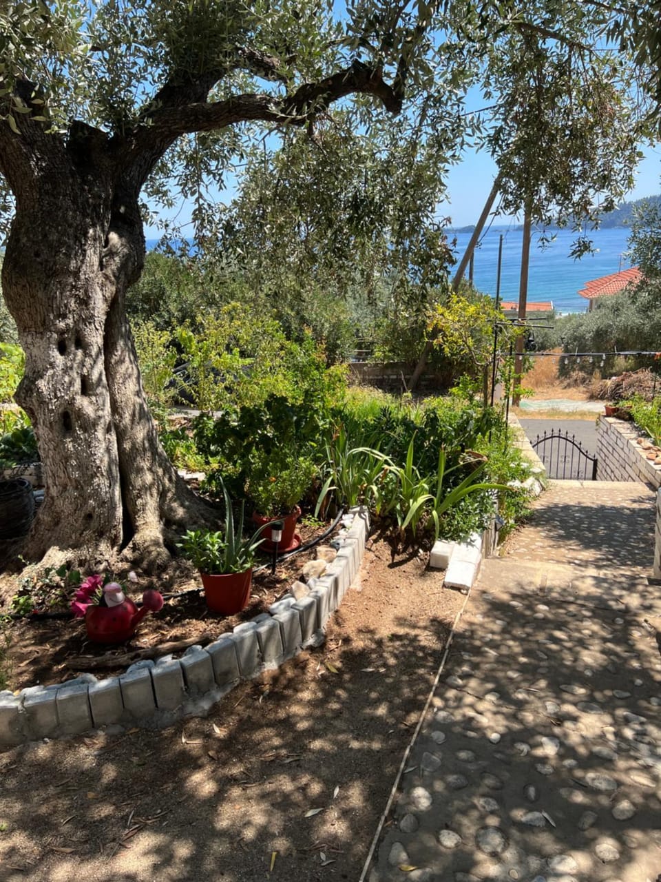 Day, Natural landscape, Garden, Garden view, Sea view