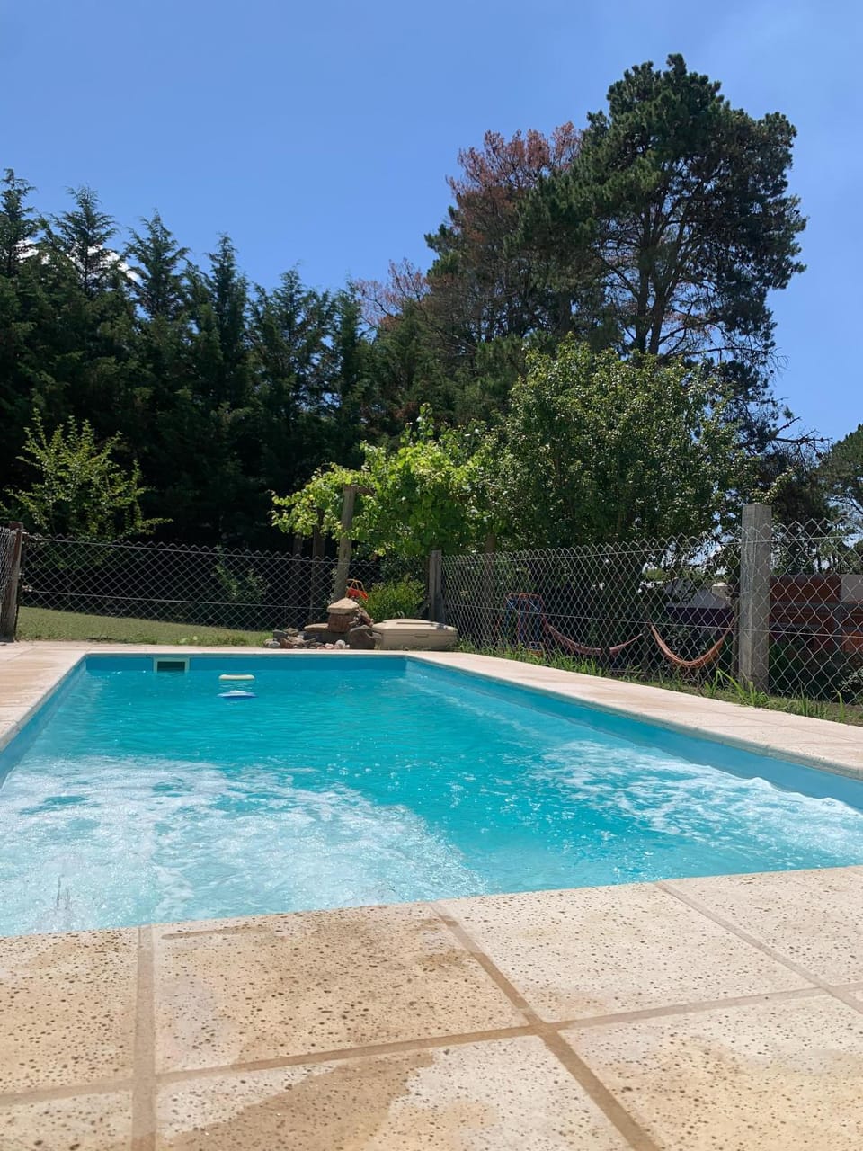 Garden, Garden view, Pool view, Swimming pool, sunbed