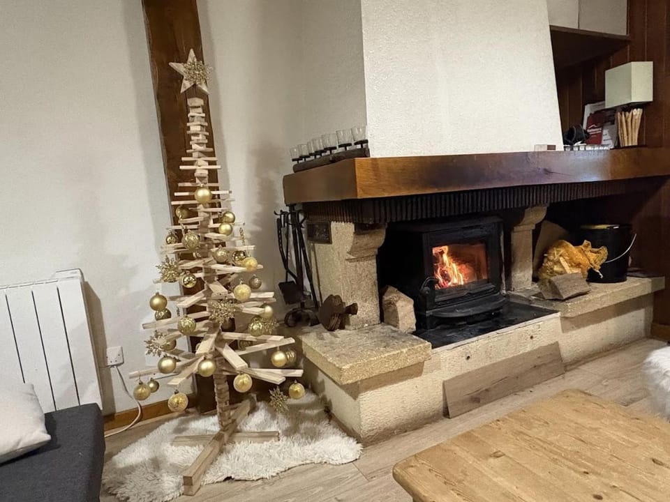 Winter, Living room, fireplace