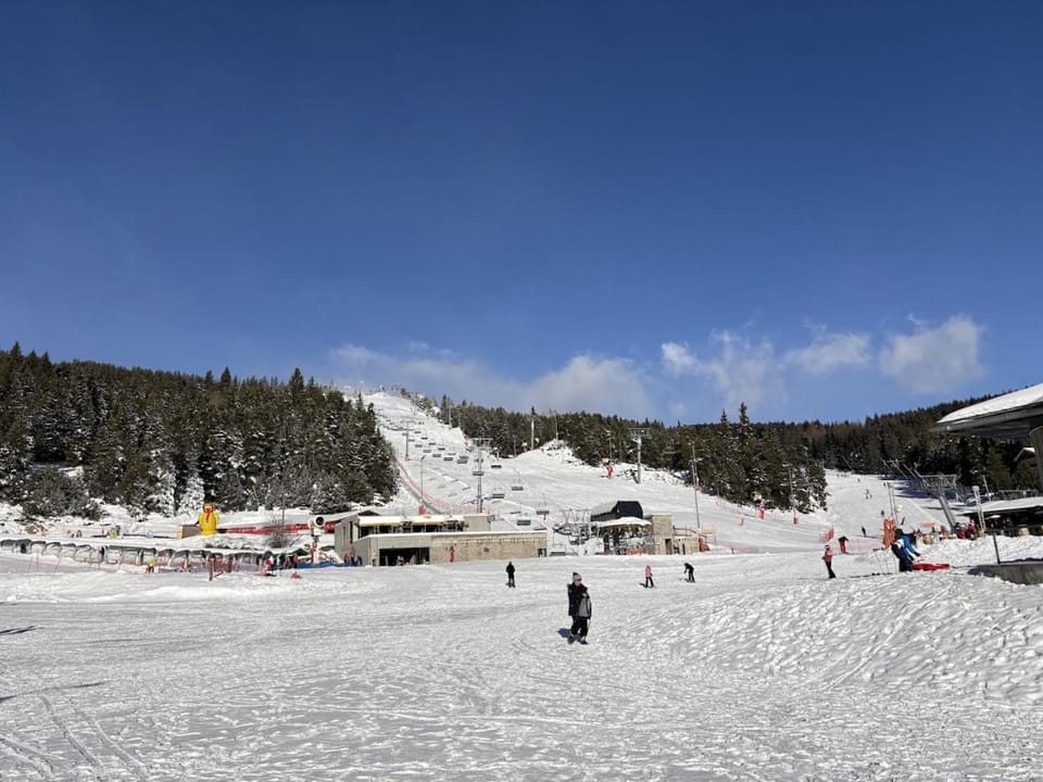 Day, People, Winter, Skiing, group of guests