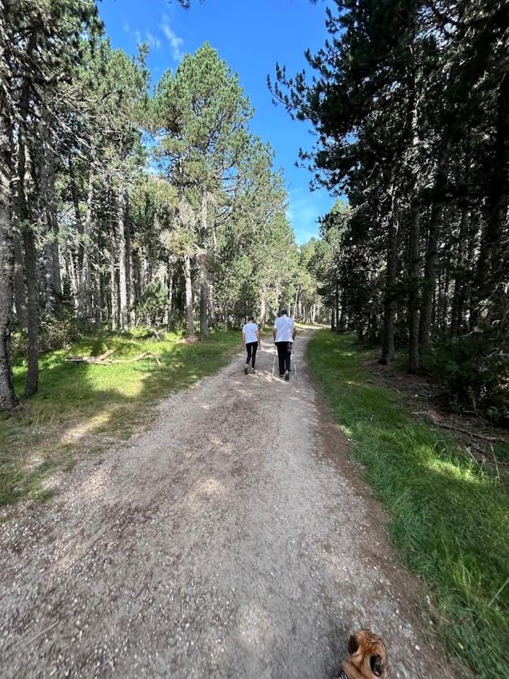 Spring, Day, People, Natural landscape, group of guests
