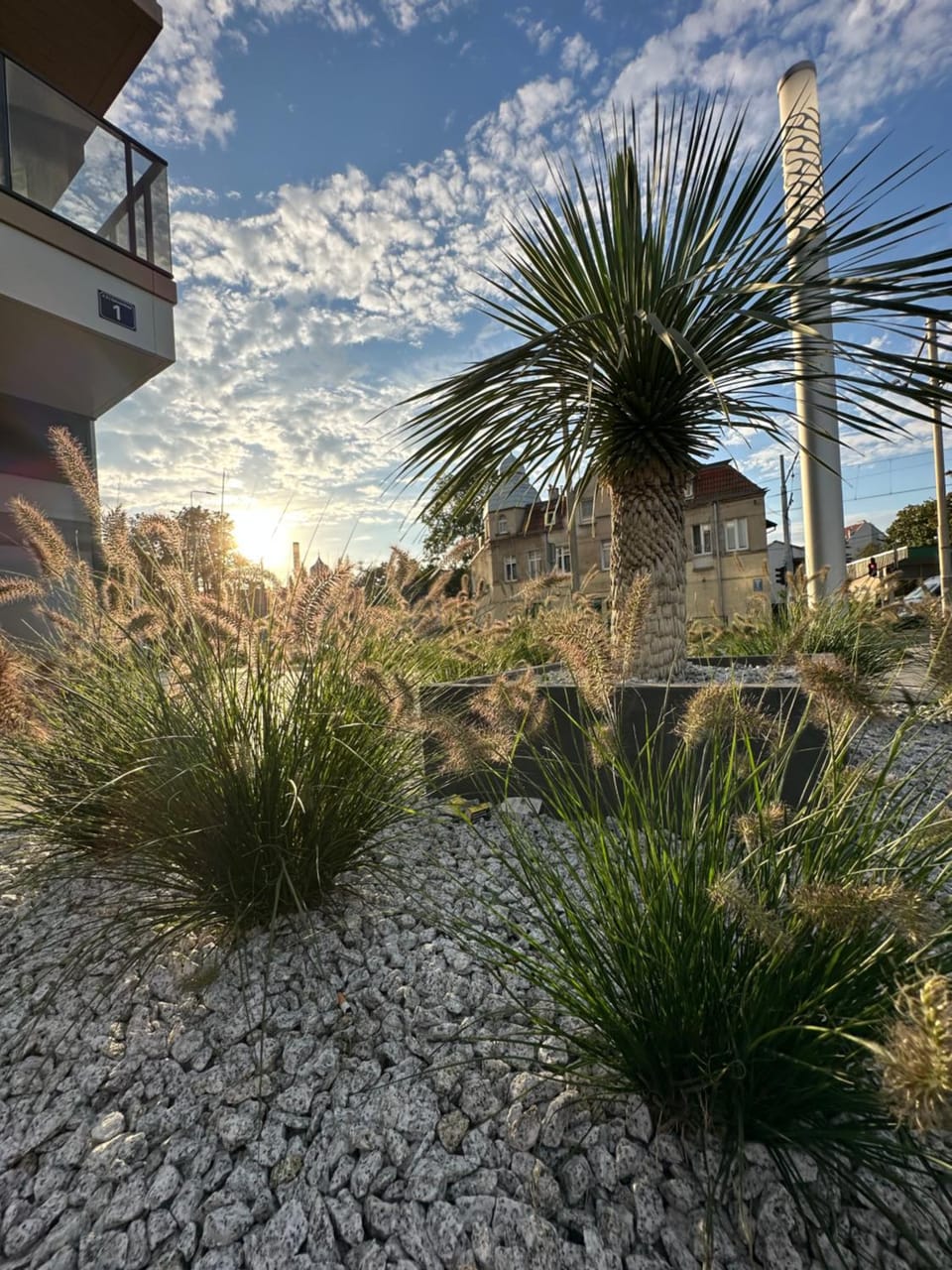 Property building, Garden, Garden view