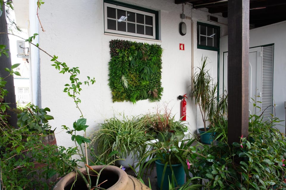 Patio, Day, Garden