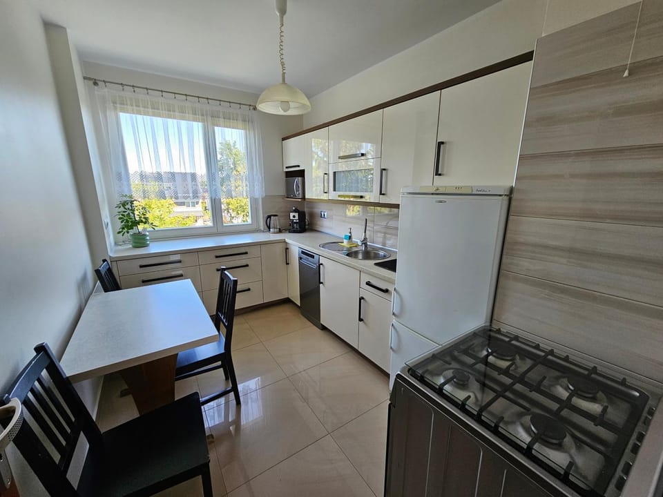 Kitchen or kitchenette, Dining area, dishwasher, oven