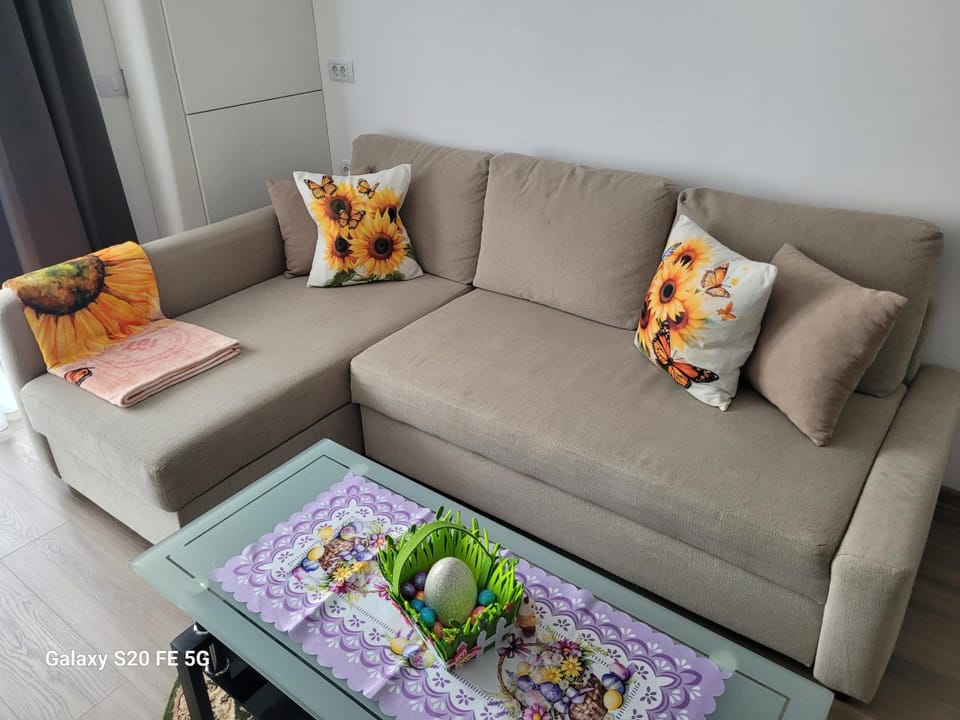 Casa cu Floarea Soarelui Apartment in Brasov