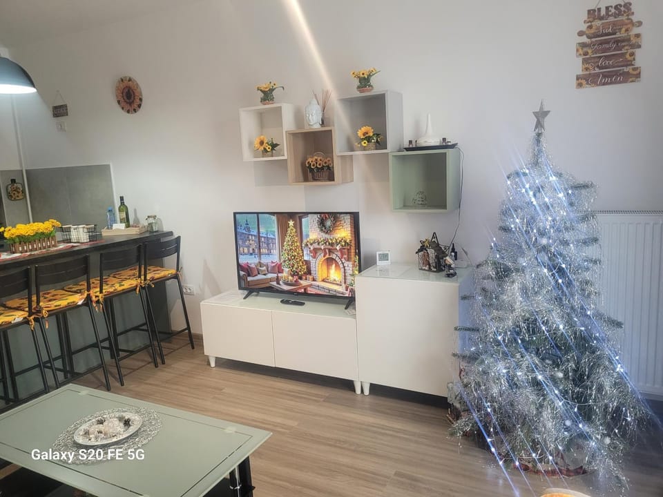 Casa cu Floarea Soarelui Apartment in Brasov