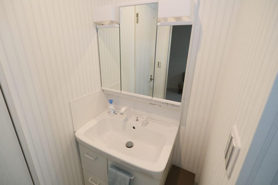 Taito City Negishi 2Ldk-TT0323 Apartment in Japan