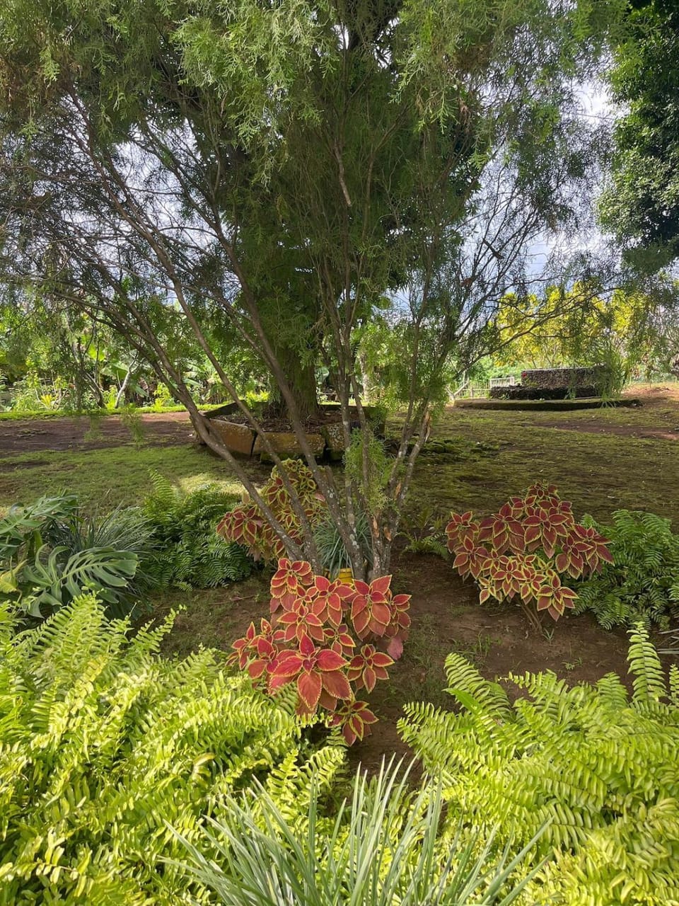 Natural landscape