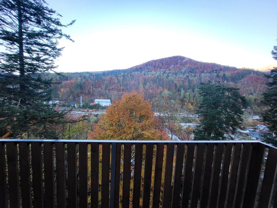Montis View Sinaia Apartment in Sinaia