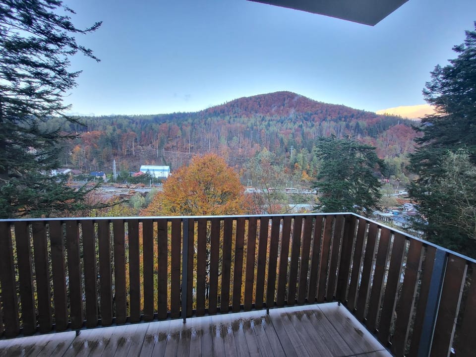 Montis View Sinaia Apartment in Sinaia