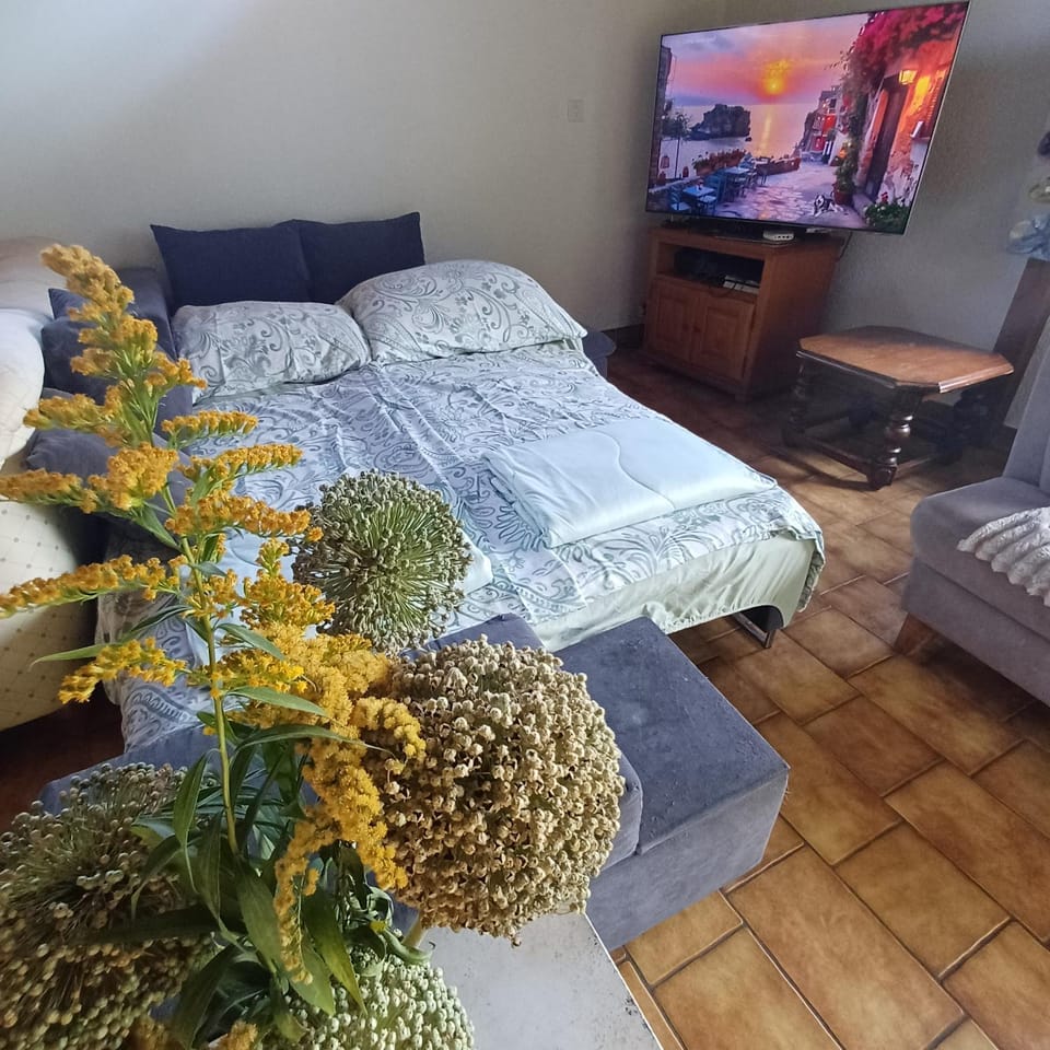 Villa Aroleid Bed and Breakfast in Haute-Savoie
