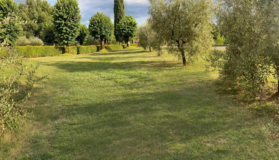 Garden, Garden view