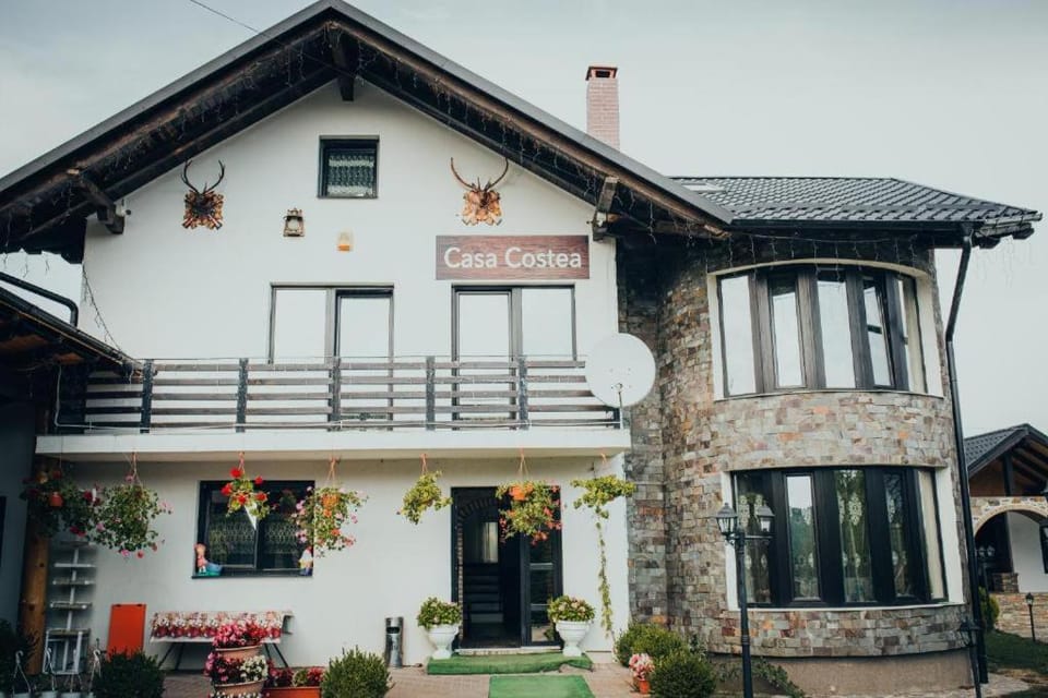 Casa Costea în Inima Bucovinei House in Romania