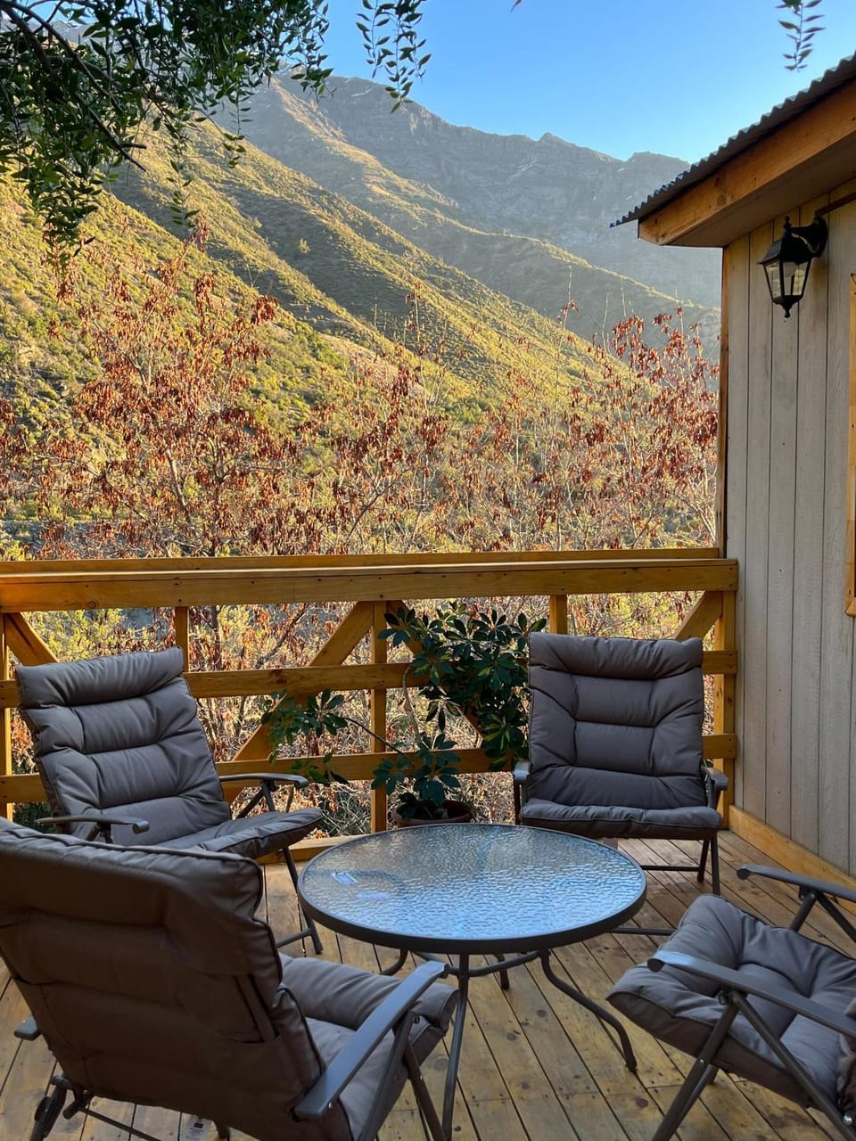 Balcony/Terrace