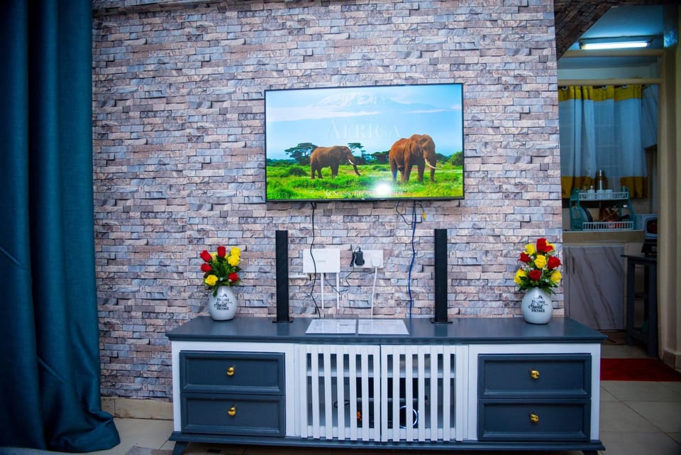 TV and multimedia