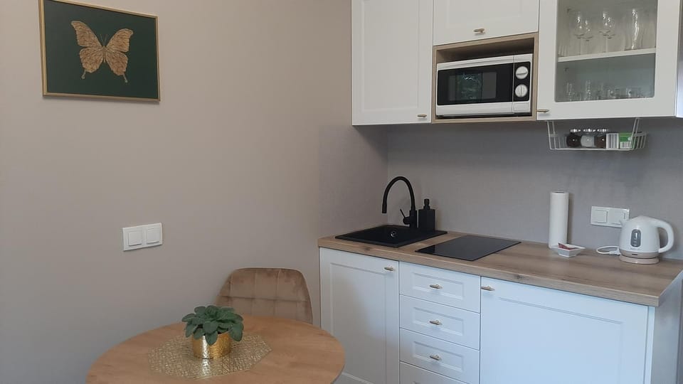 Apartament Motyl Apartment in Warsaw