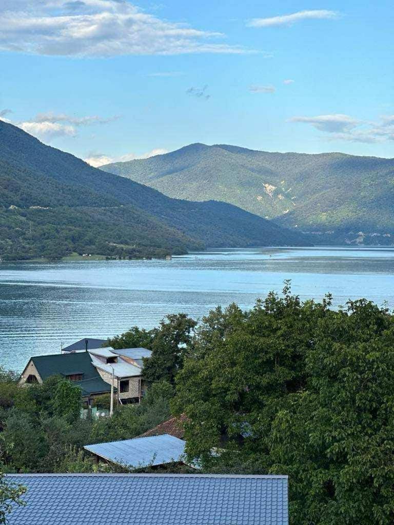 Berg Ananuri Bed and Breakfast in Georgia