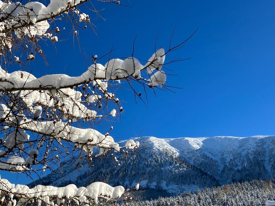 Day, Neighbourhood, Natural landscape, Winter, Skiing, Hiking, Landmark view, Landmark view, Mountain view