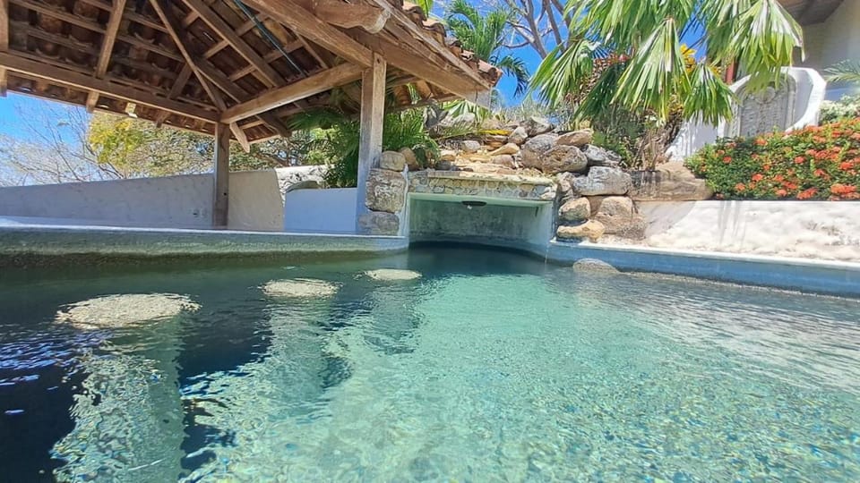 Day, Garden, Garden view, Pool view, Swimming pool