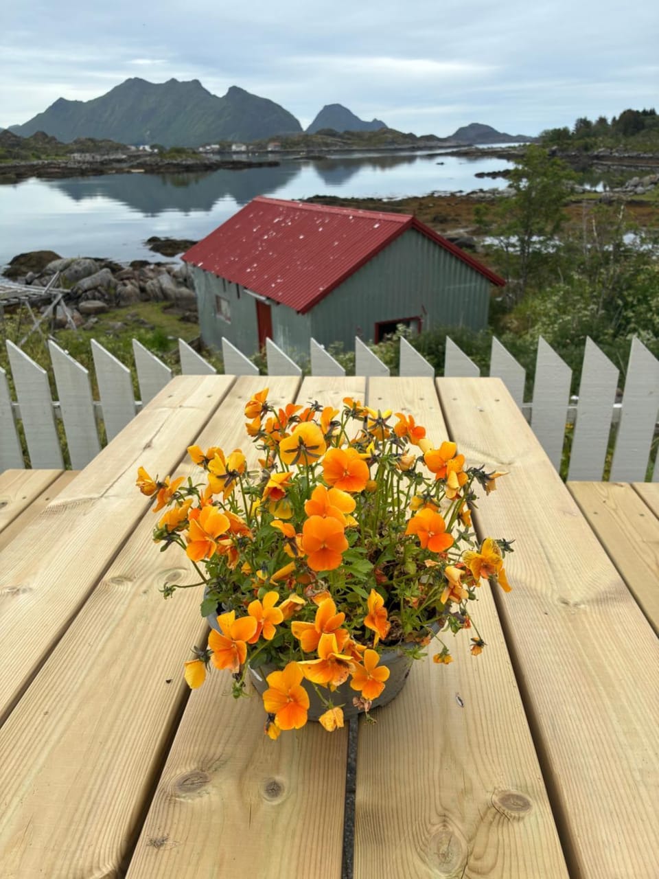 Sea view