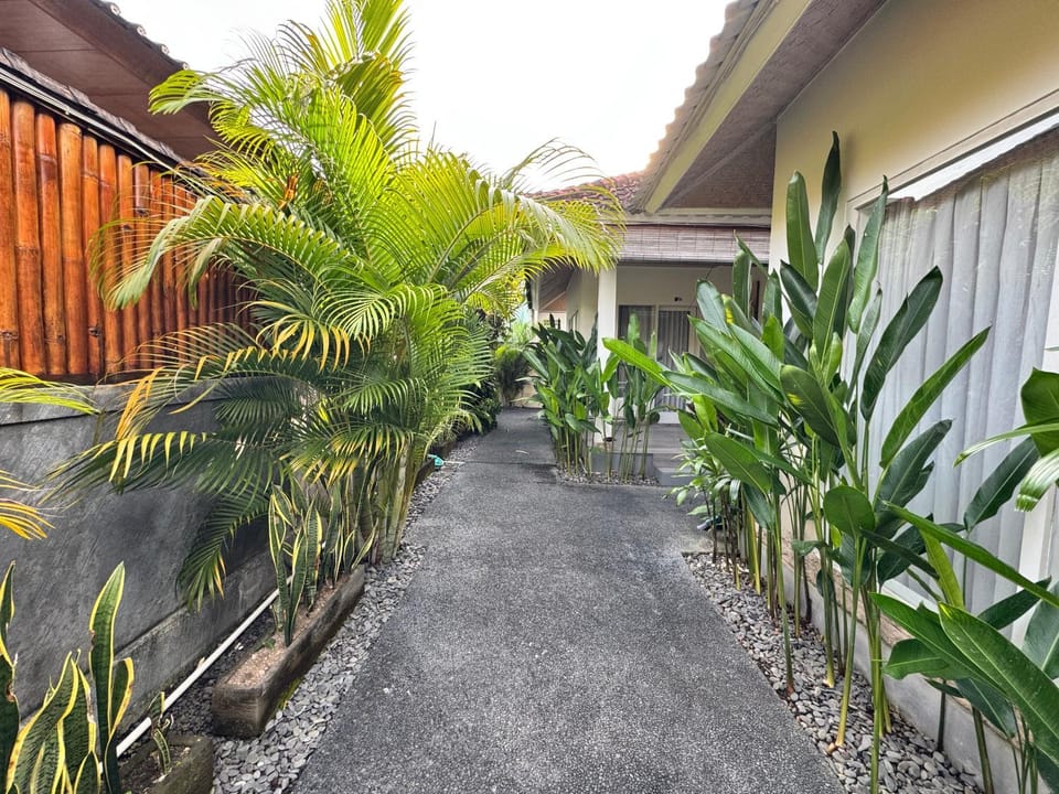 Spring, Day, Garden, Garden view