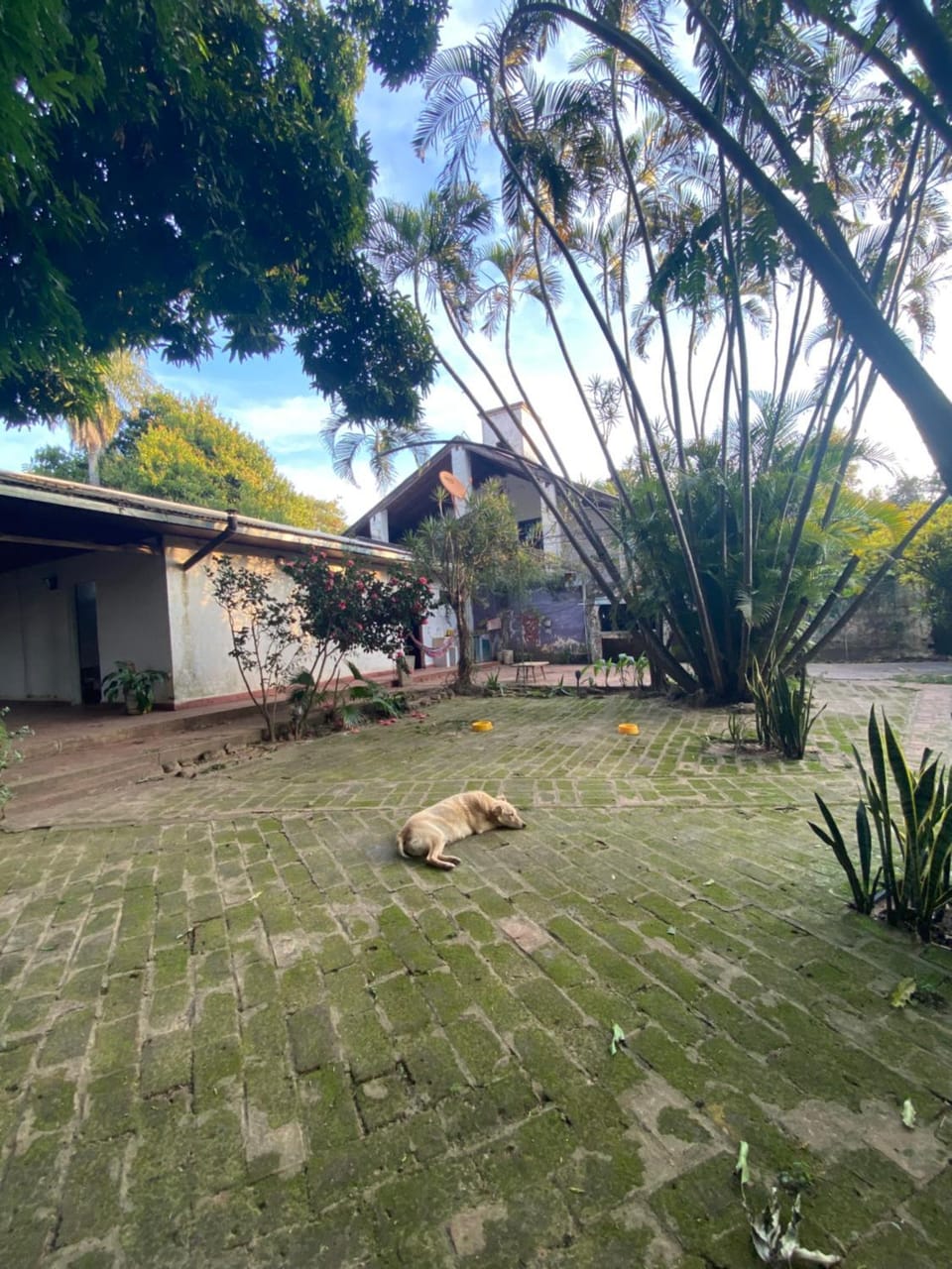 Garden, Garden