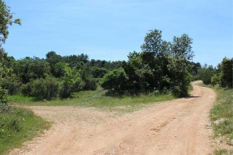 Natural landscape