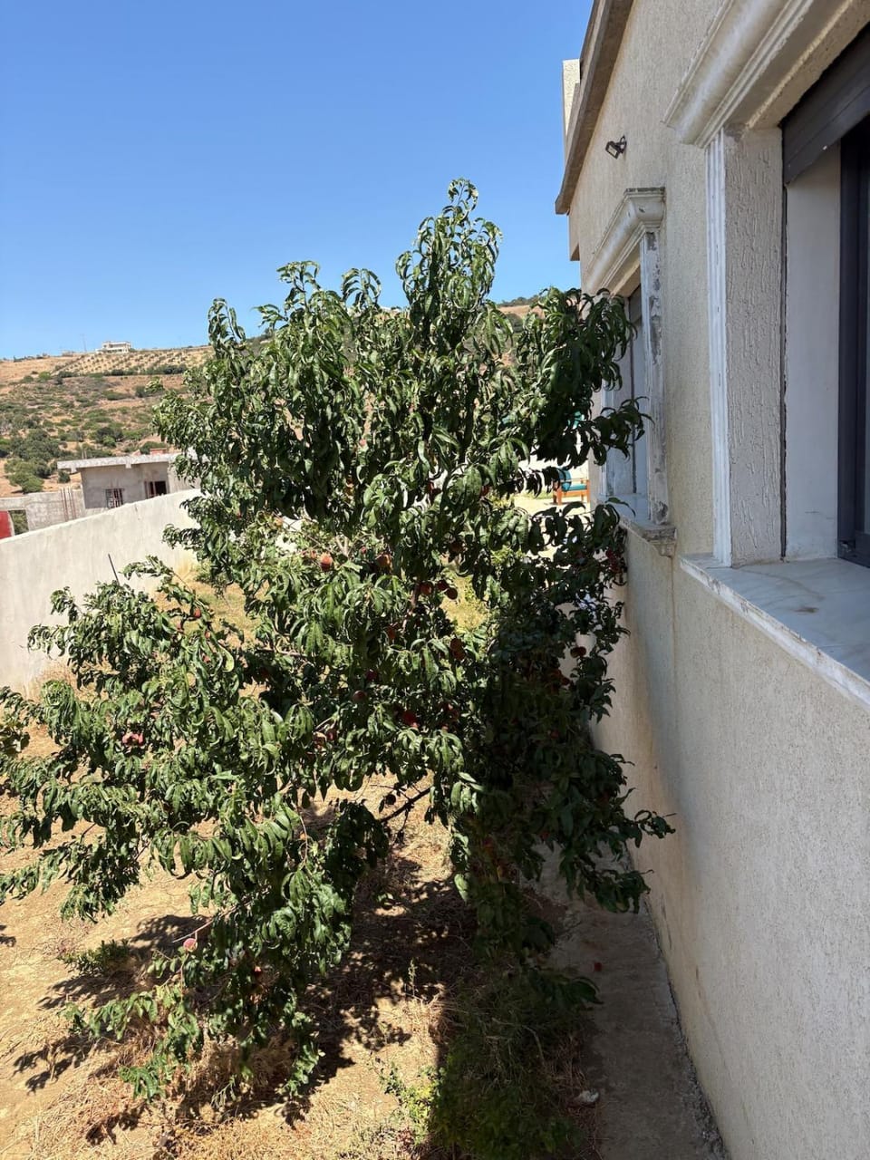Rural escape House in Tangier-Tétouan-Al Hoceima