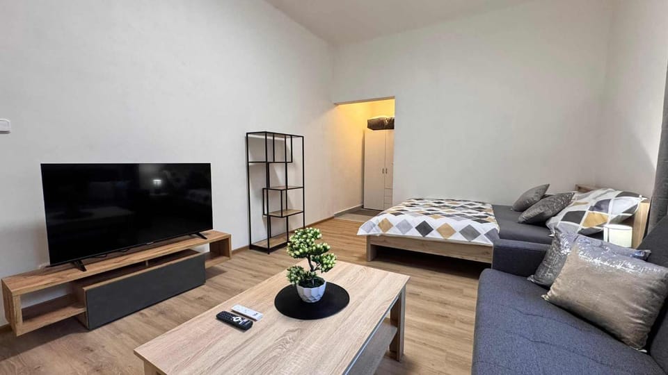 Bed, TV and multimedia, Living room, Photo of the whole room, Seating area, Bedroom