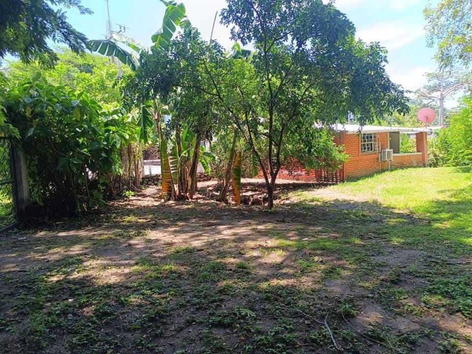Natural landscape, Garden, Garden view