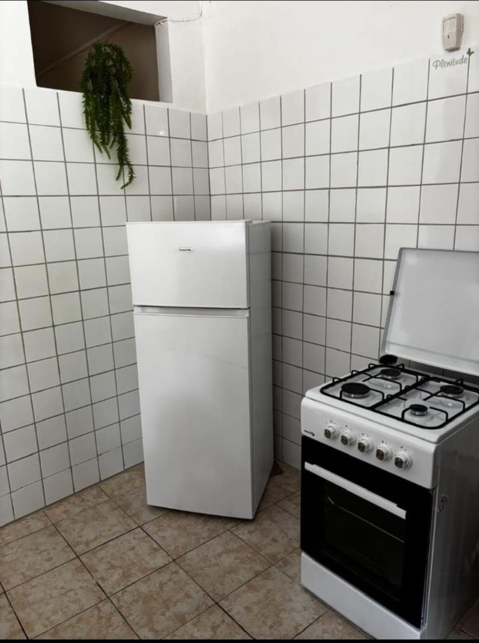 Kitchen or kitchenette, oven, stove