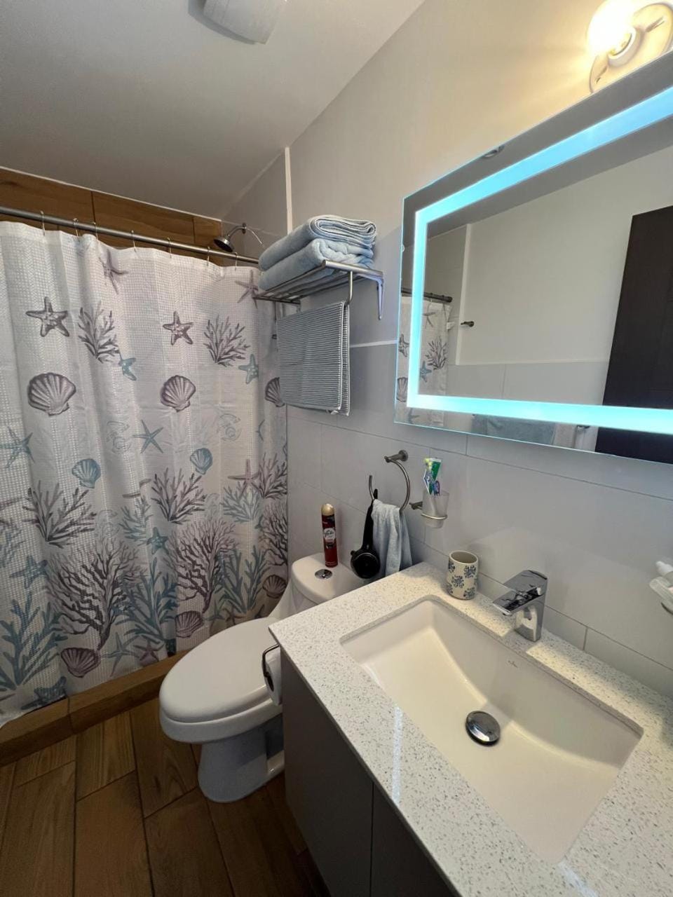 Shower, Toilet, Bathroom, towels