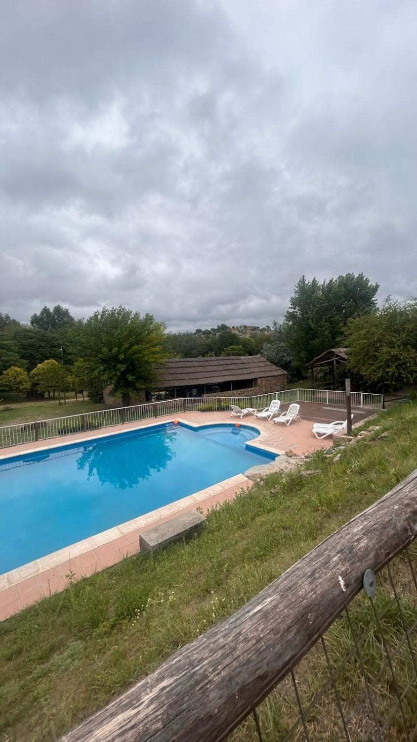 Natural landscape, Pool view, Swimming pool, sunbed